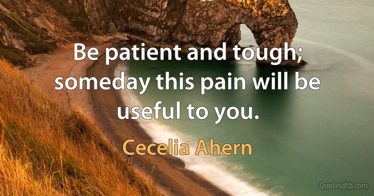 Be patient and tough; someday this pain will be useful to you. (Cecelia Ahern)