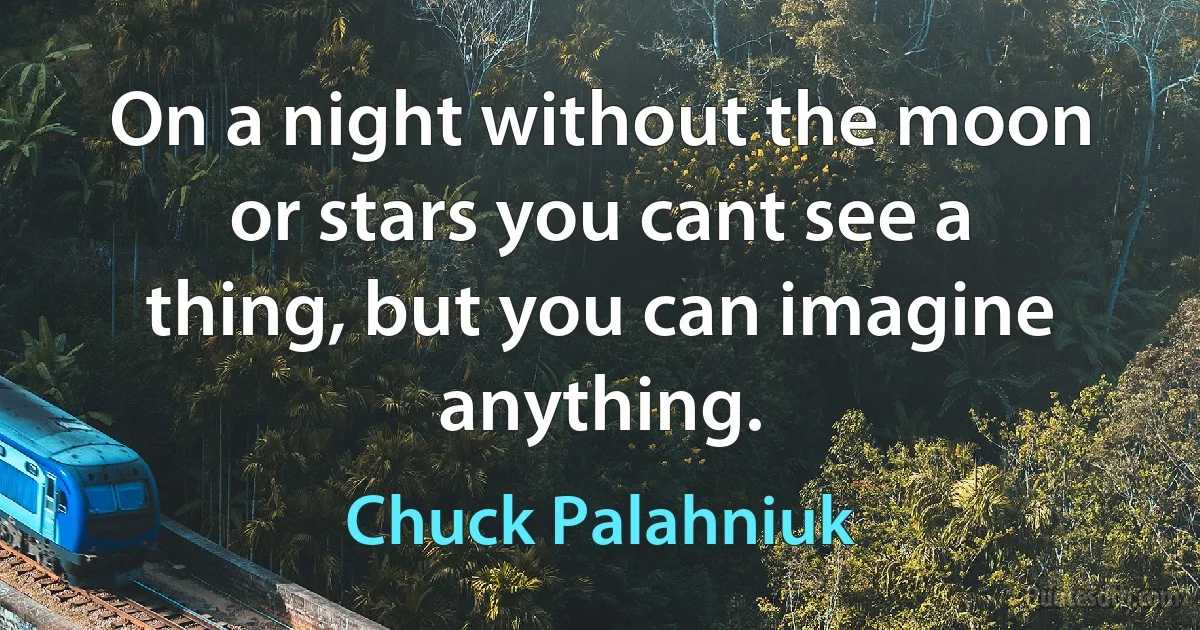 On a night without the moon or stars you cant see a thing, but you can imagine anything. (Chuck Palahniuk)