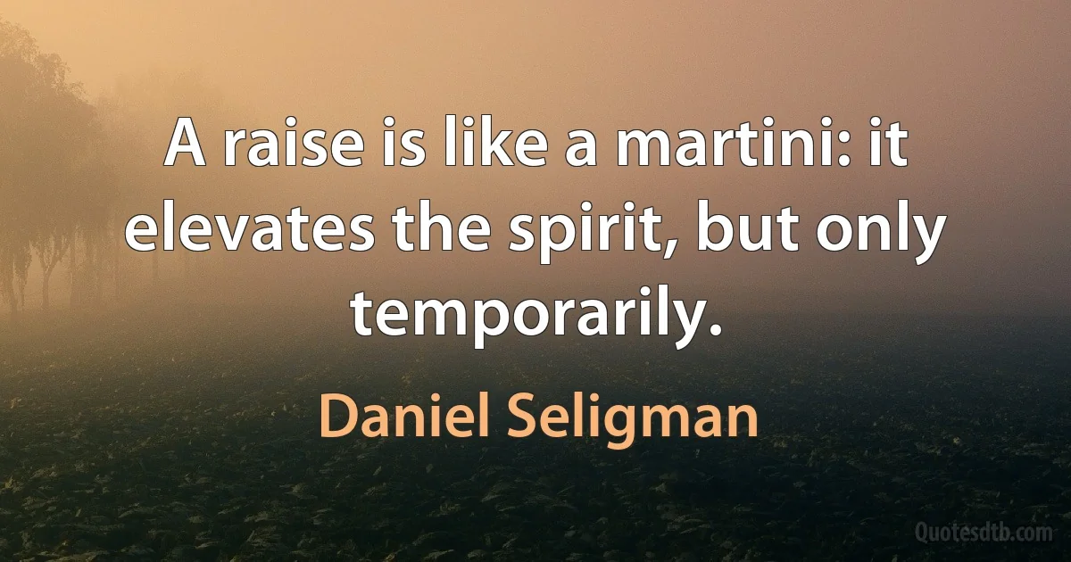 A raise is like a martini: it elevates the spirit, but only temporarily. (Daniel Seligman)