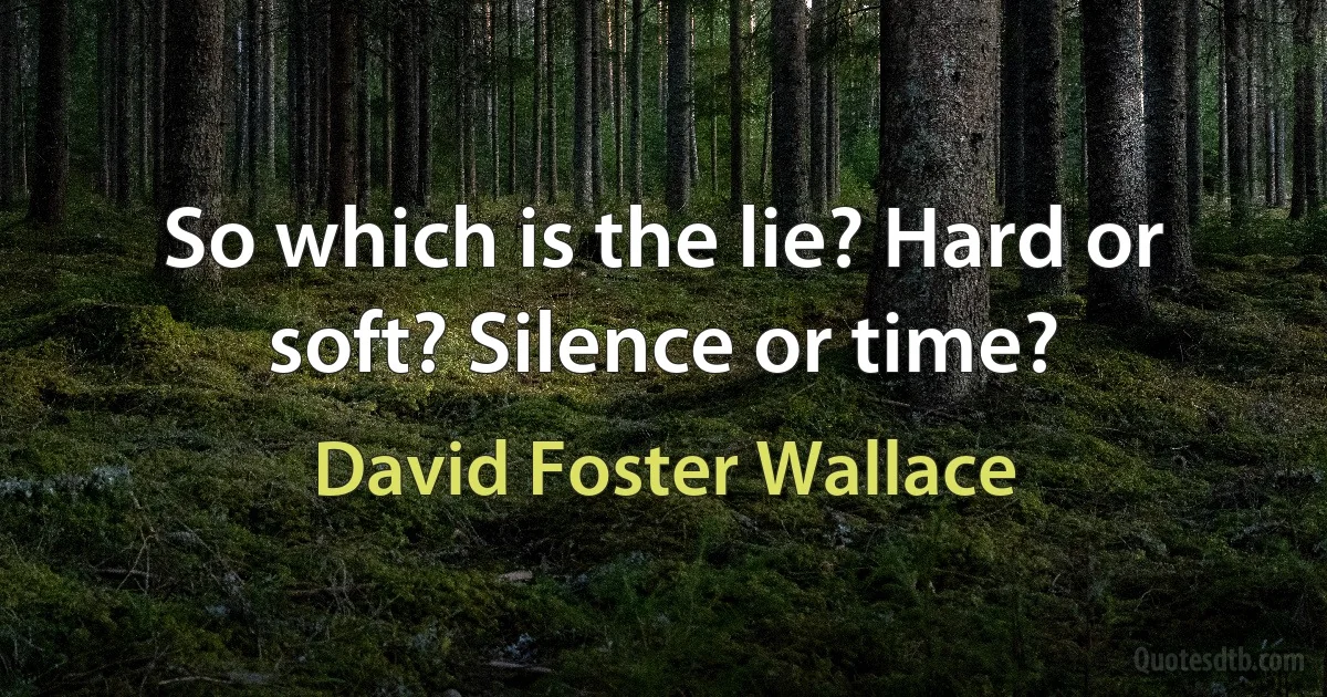 So which is the lie? Hard or soft? Silence or time? (David Foster Wallace)