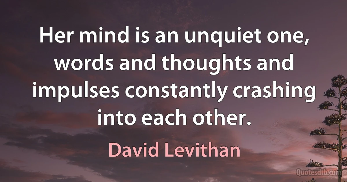 Her mind is an unquiet one, words and thoughts and impulses constantly crashing into each other. (David Levithan)