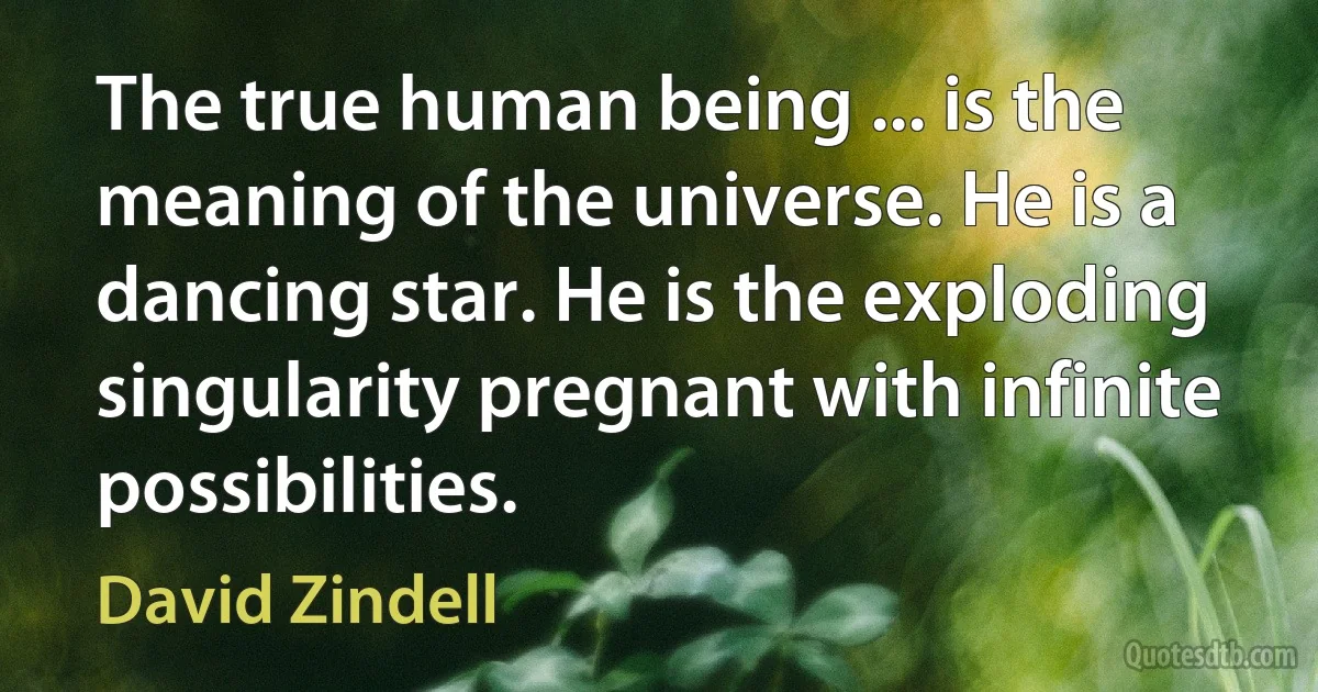 The true human being ... is the meaning of the universe. He is a dancing star. He is the exploding singularity pregnant with infinite possibilities. (David Zindell)