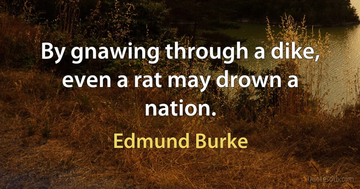 By gnawing through a dike, even a rat may drown a nation. (Edmund Burke)