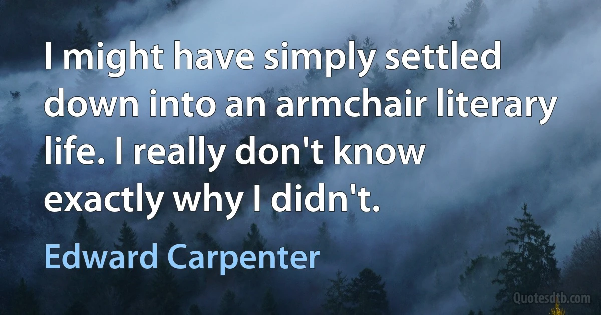 I might have simply settled down into an armchair literary life. I really don't know exactly why I didn't. (Edward Carpenter)