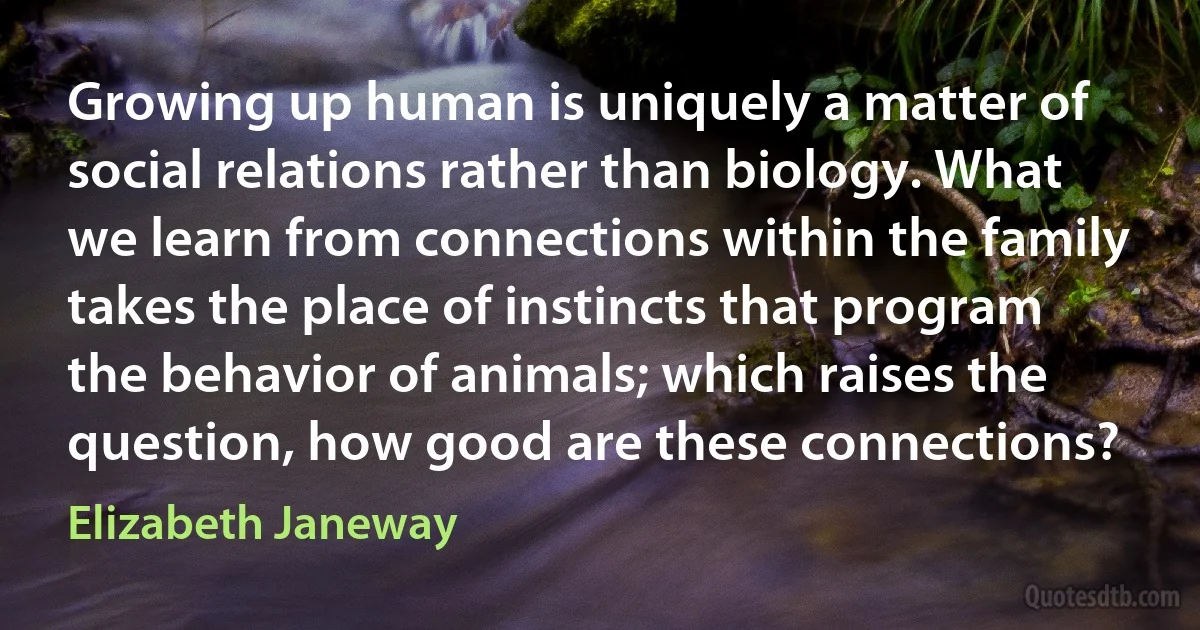 Growing up human is uniquely a matter of social relations rather than biology. What we learn from connections within the family takes the place of instincts that program the behavior of animals; which raises the question, how good are these connections? (Elizabeth Janeway)