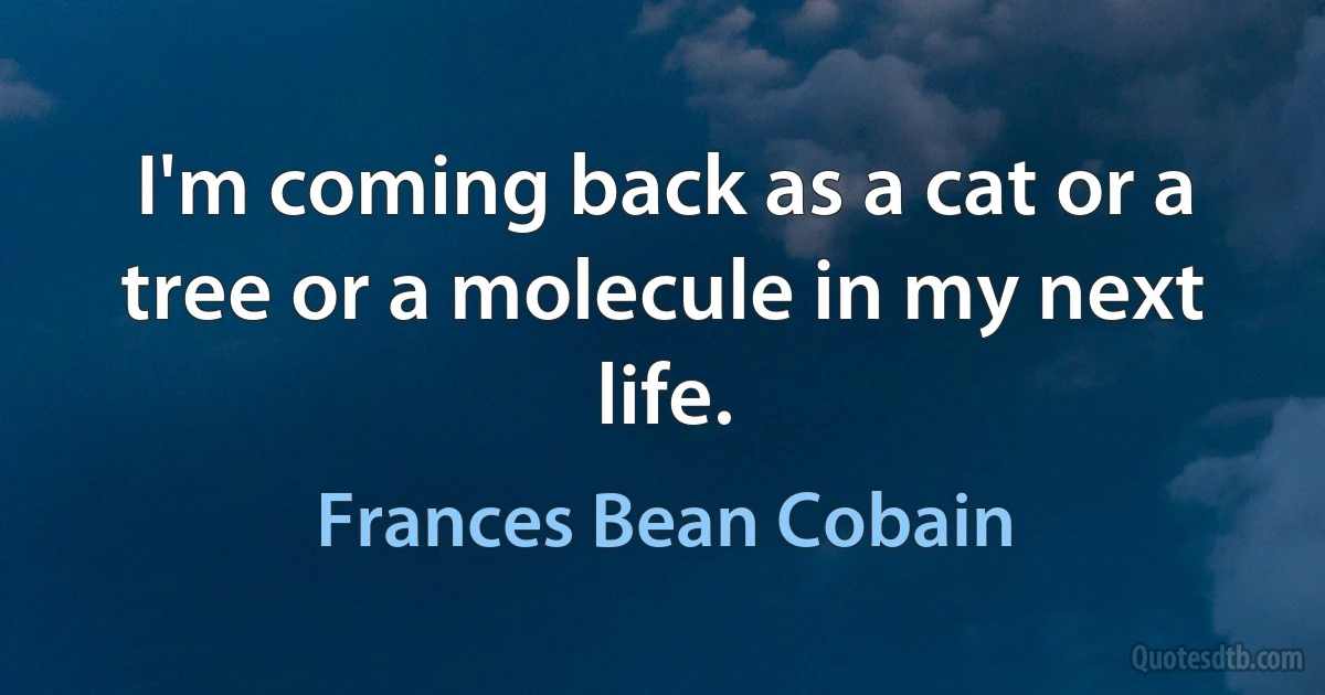 I'm coming back as a cat or a tree or a molecule in my next life. (Frances Bean Cobain)