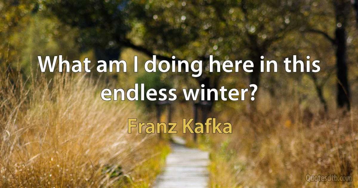 What am I doing here in this endless winter? (Franz Kafka)