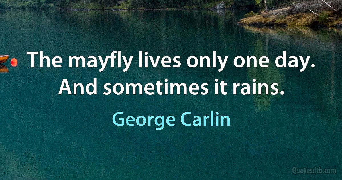 The mayfly lives only one day. And sometimes it rains. (George Carlin)