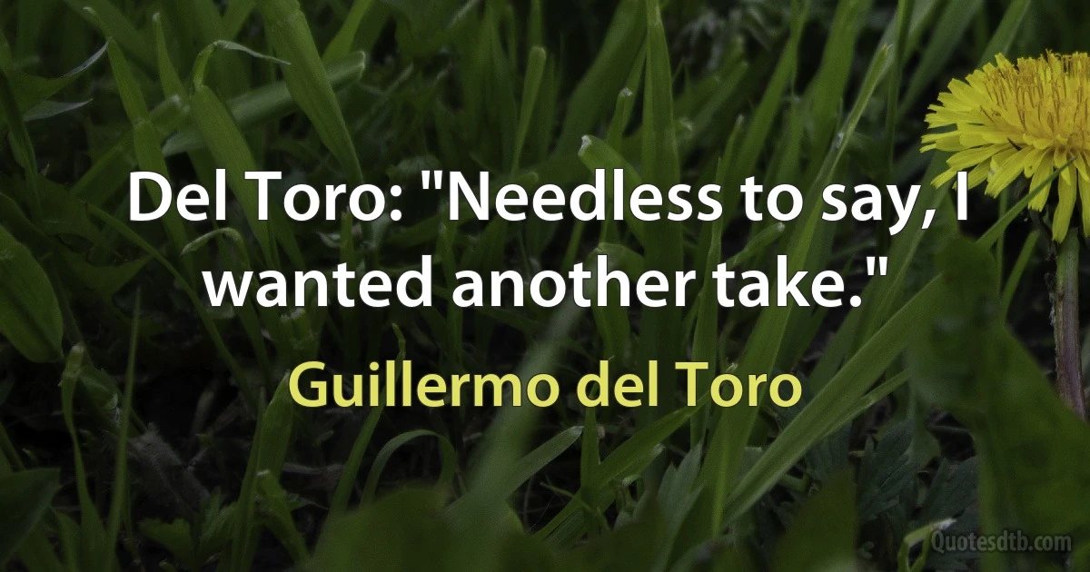 Del Toro: "Needless to say, I wanted another take." (Guillermo del Toro)