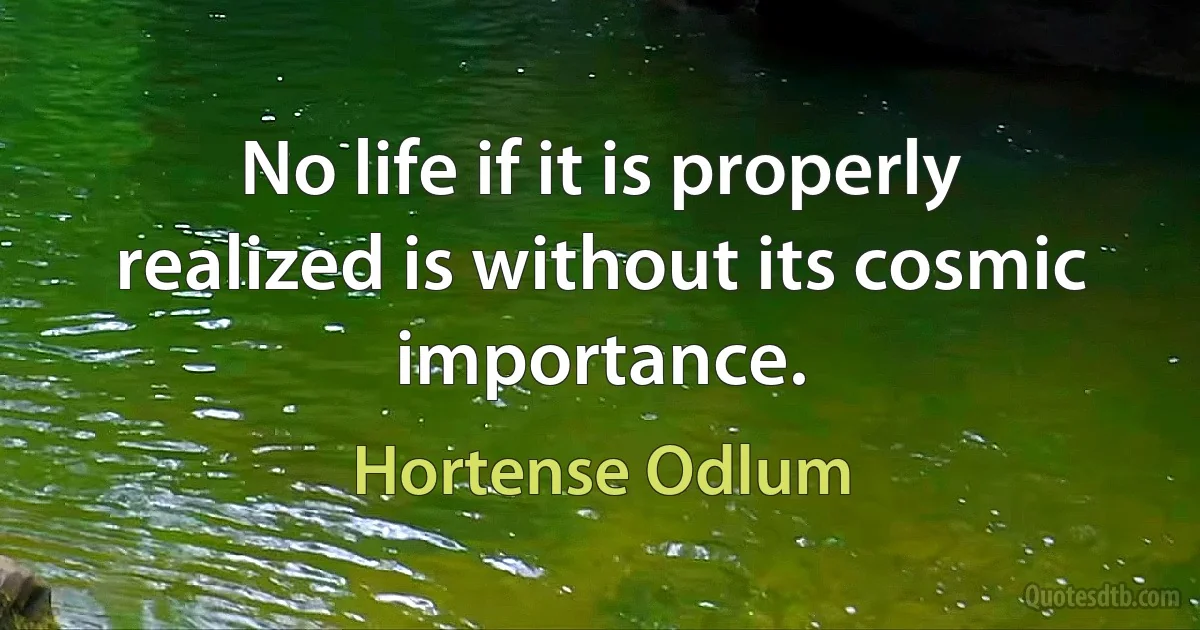 No life if it is properly realized is without its cosmic importance. (Hortense Odlum)