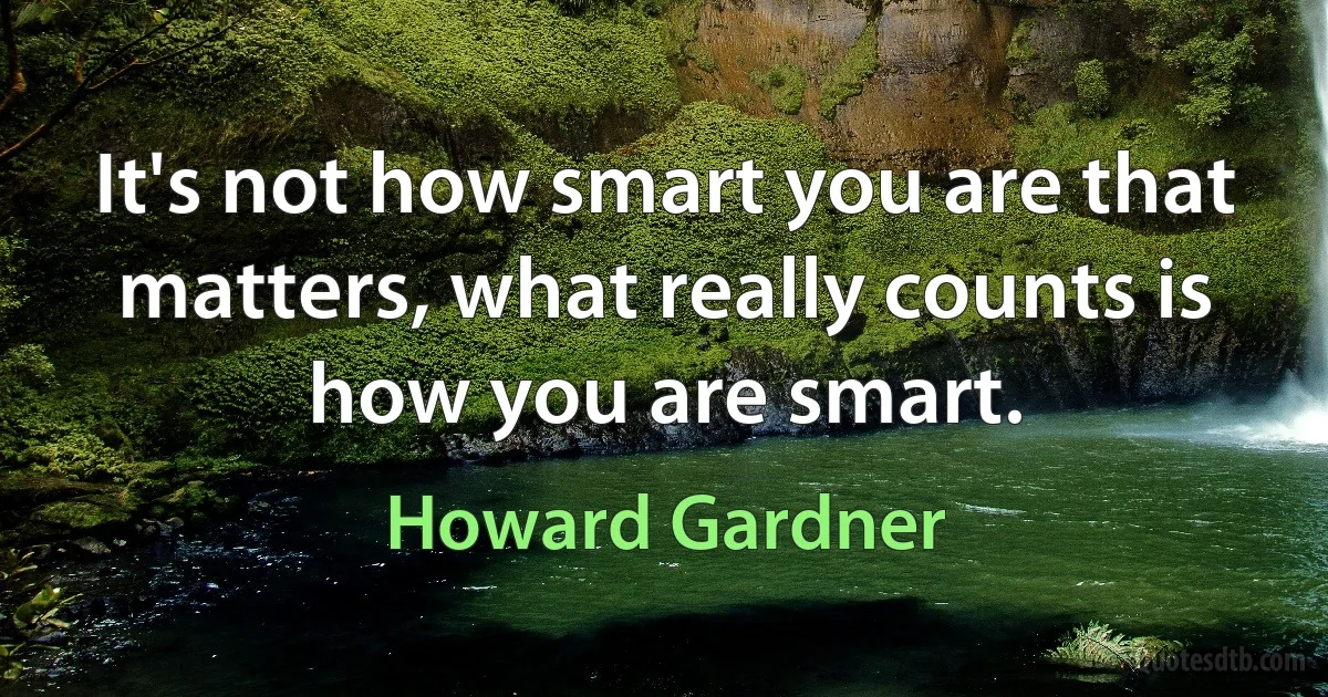 It's not how smart you are that matters, what really counts is how you are smart. (Howard Gardner)