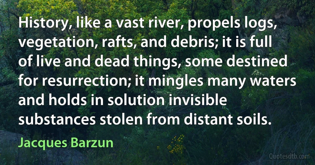 History, like a vast river, propels logs, vegetation, rafts, and debris; it is full of live and dead things, some destined for resurrection; it mingles many waters and holds in solution invisible substances stolen from distant soils. (Jacques Barzun)