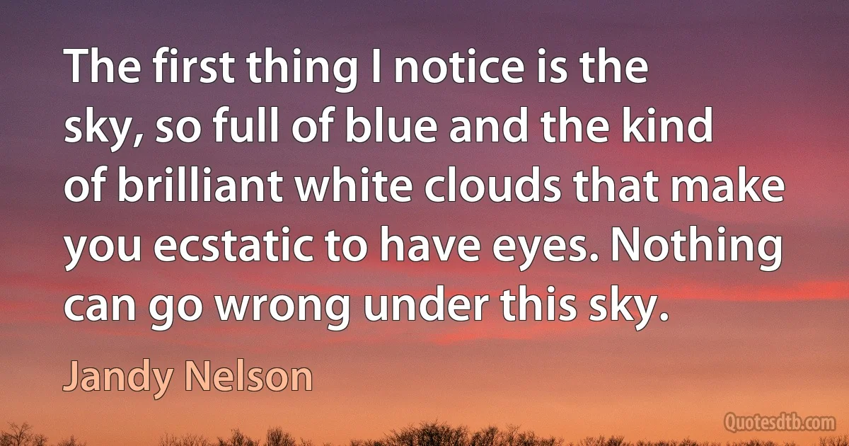 The first thing I notice is the sky, so full of blue and the kind of brilliant white clouds that make you ecstatic to have eyes. Nothing can go wrong under this sky. (Jandy Nelson)