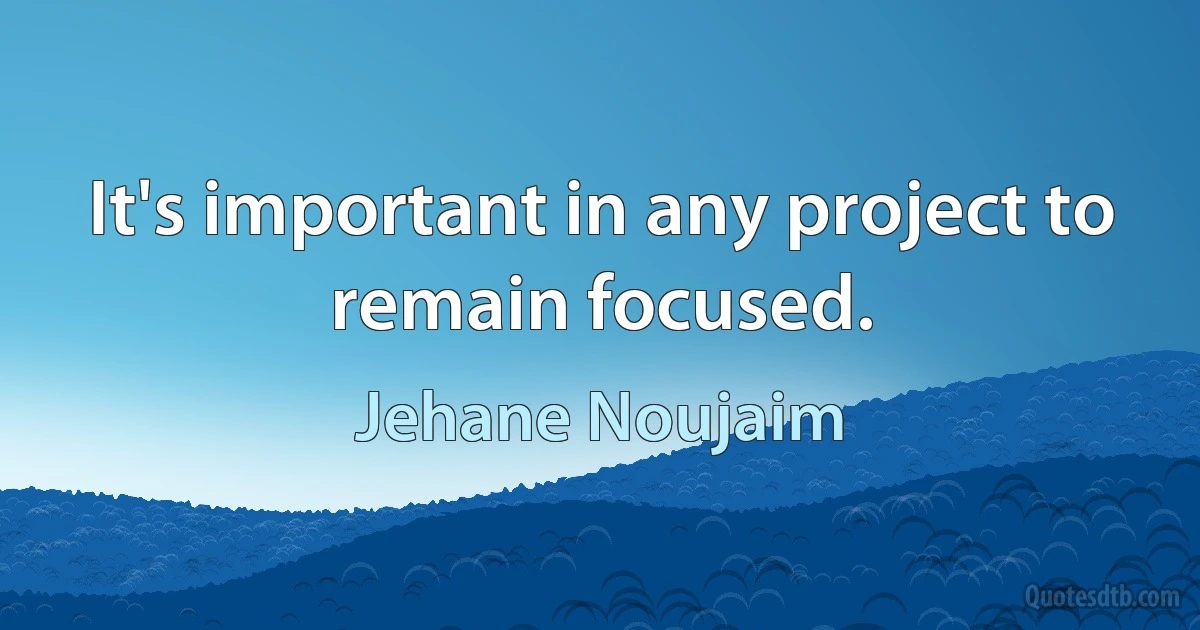 It's important in any project to remain focused. (Jehane Noujaim)