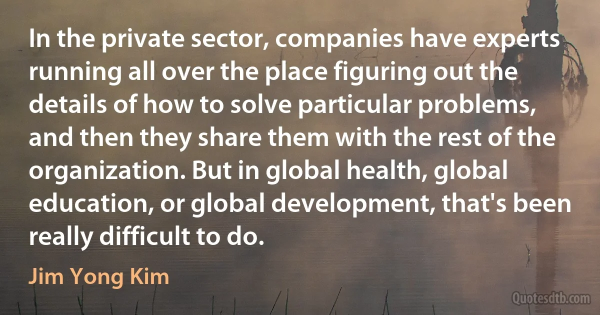 In the private sector, companies have experts running all over the place figuring out the details of how to solve particular problems, and then they share them with the rest of the organization. But in global health, global education, or global development, that's been really difficult to do. (Jim Yong Kim)