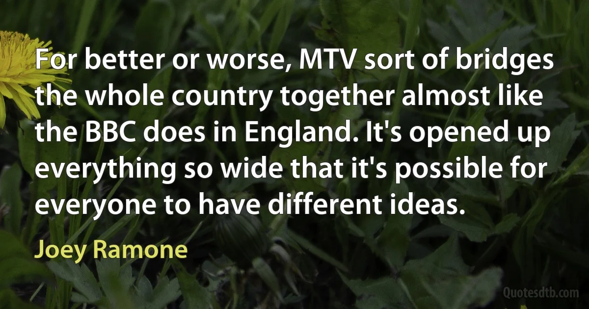 For better or worse, MTV sort of bridges the whole country together almost like the BBC does in England. It's opened up everything so wide that it's possible for everyone to have different ideas. (Joey Ramone)