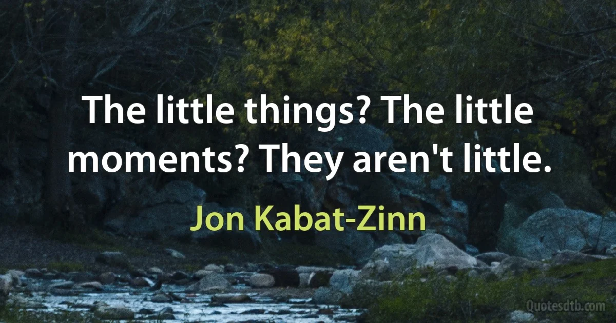 The little things? The little moments? They aren't little. (Jon Kabat-Zinn)