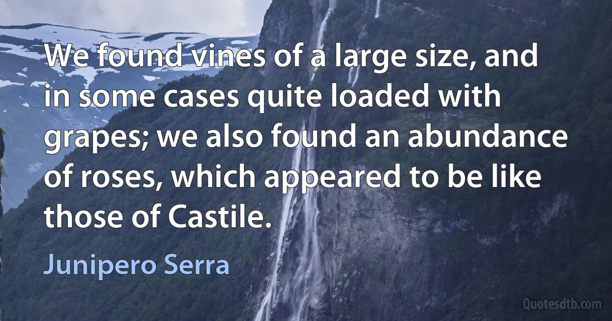 We found vines of a large size, and in some cases quite loaded with grapes; we also found an abundance of roses, which appeared to be like those of Castile. (Junipero Serra)