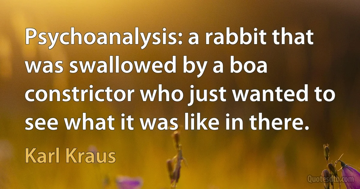 Psychoanalysis: a rabbit that was swallowed by a boa constrictor who just wanted to see what it was like in there. (Karl Kraus)