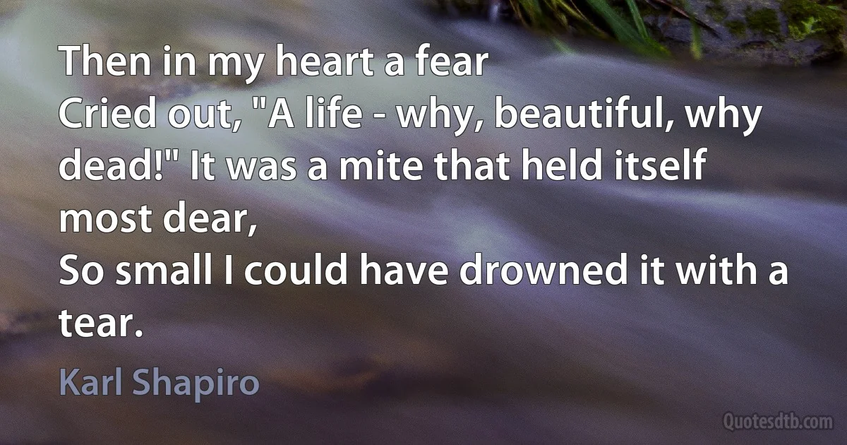 Then in my heart a fear
Cried out, "A life - why, beautiful, why dead!" It was a mite that held itself most dear,
So small I could have drowned it with a tear. (Karl Shapiro)