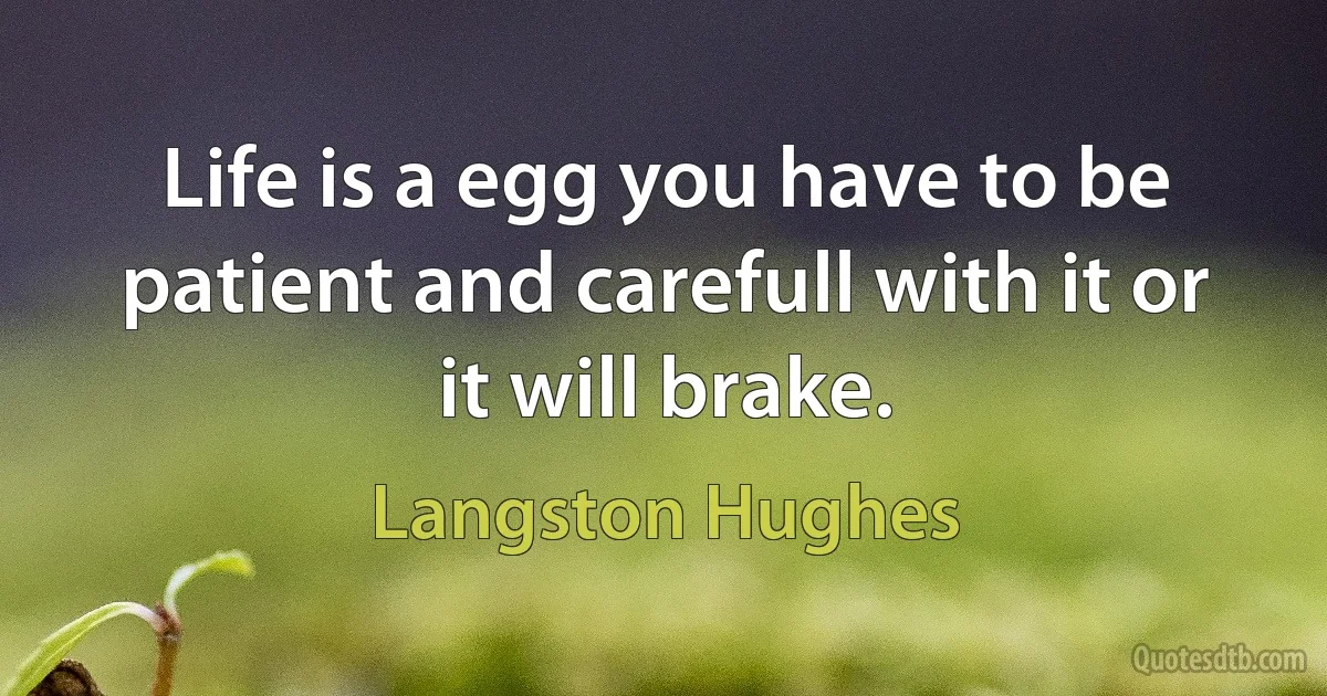 Life is a egg you have to be patient and carefull with it or it will brake. (Langston Hughes)