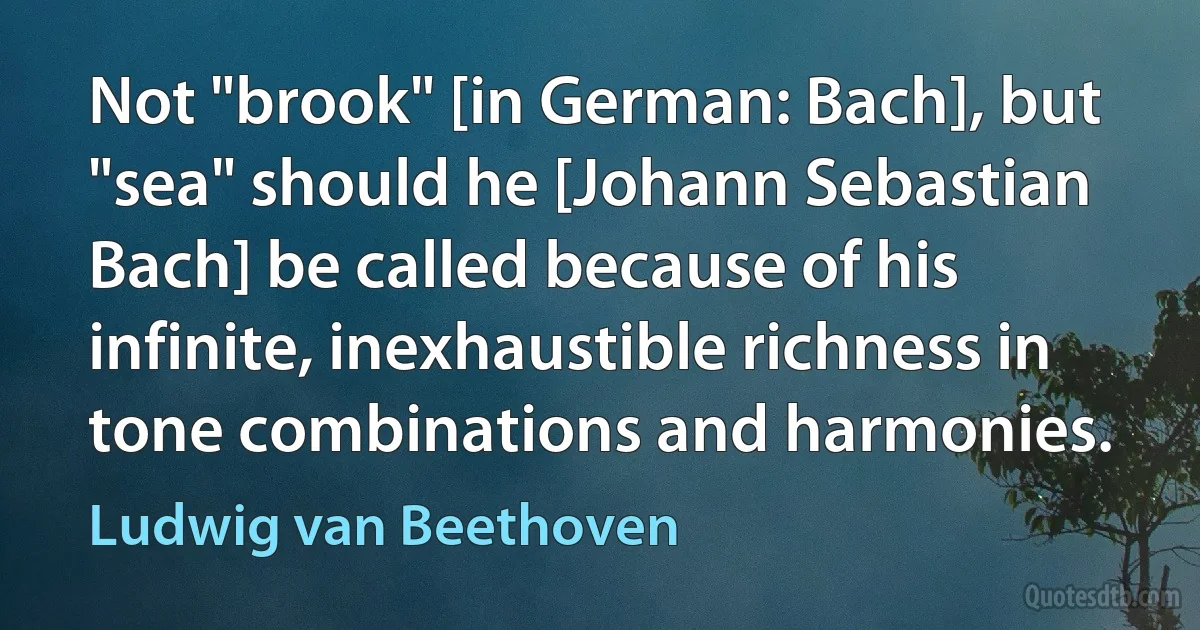 Not "brook" [in German: Bach], but "sea" should he [Johann Sebastian Bach] be called because of his infinite, inexhaustible richness in tone combinations and harmonies. (Ludwig van Beethoven)