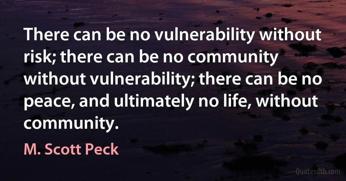 There can be no vulnerability without risk; there can be no community without vulnerability; there can be no peace, and ultimately no life, without community. (M. Scott Peck)