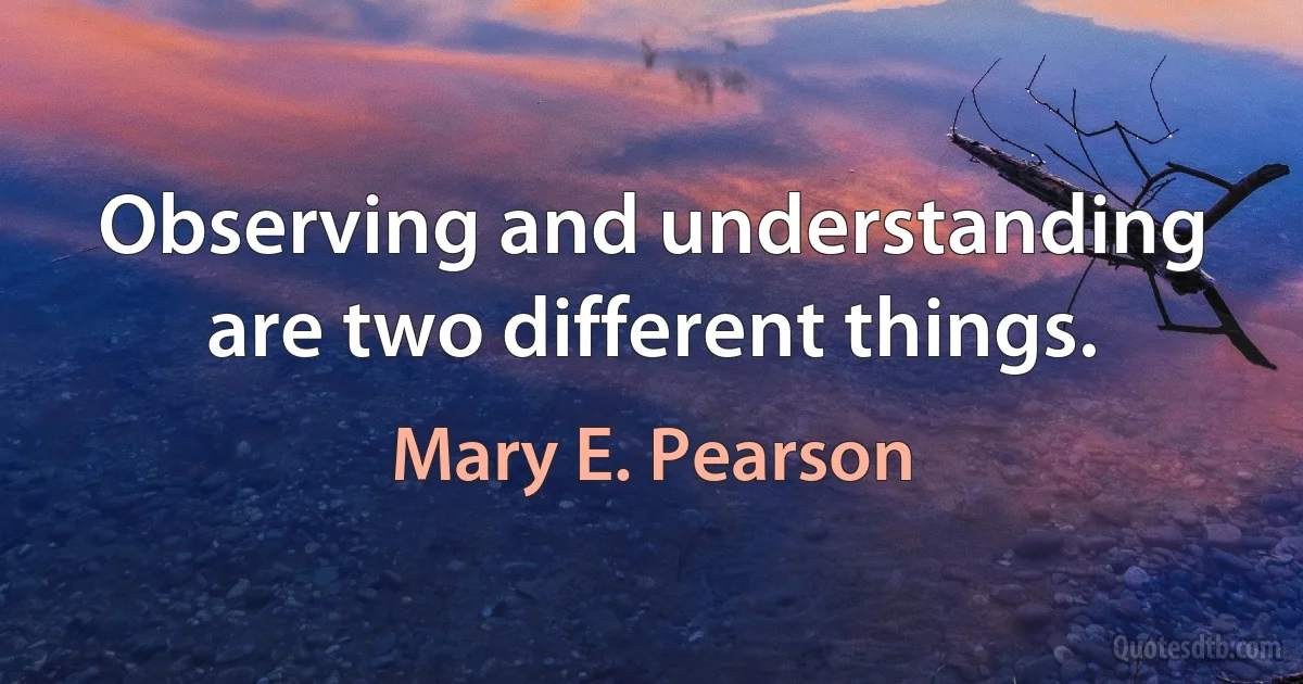 Observing and understanding are two different things. (Mary E. Pearson)