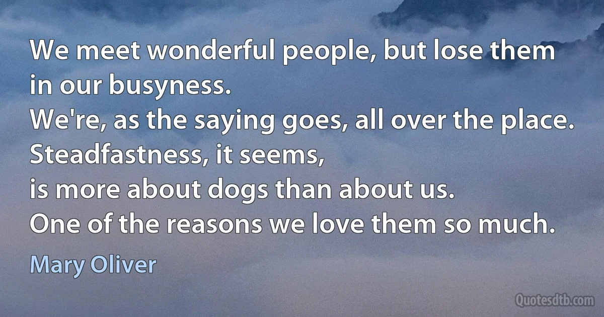 We meet wonderful people, but lose them
in our busyness.
We're, as the saying goes, all over the place.
Steadfastness, it seems,
is more about dogs than about us.
One of the reasons we love them so much. (Mary Oliver)