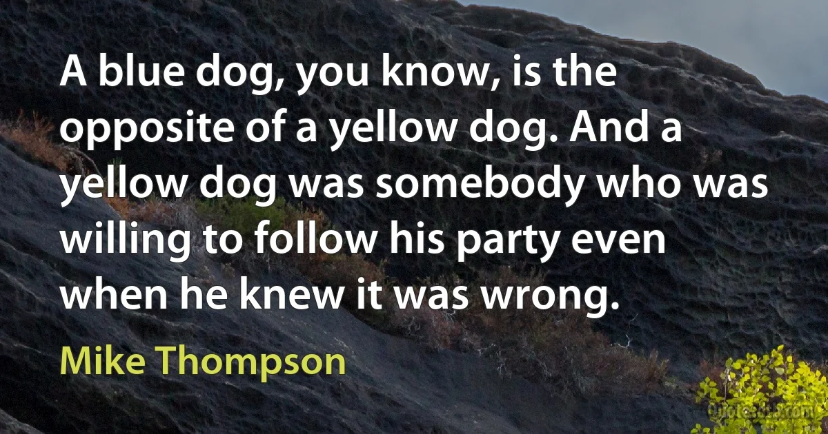 A blue dog, you know, is the opposite of a yellow dog. And a yellow dog was somebody who was willing to follow his party even when he knew it was wrong. (Mike Thompson)