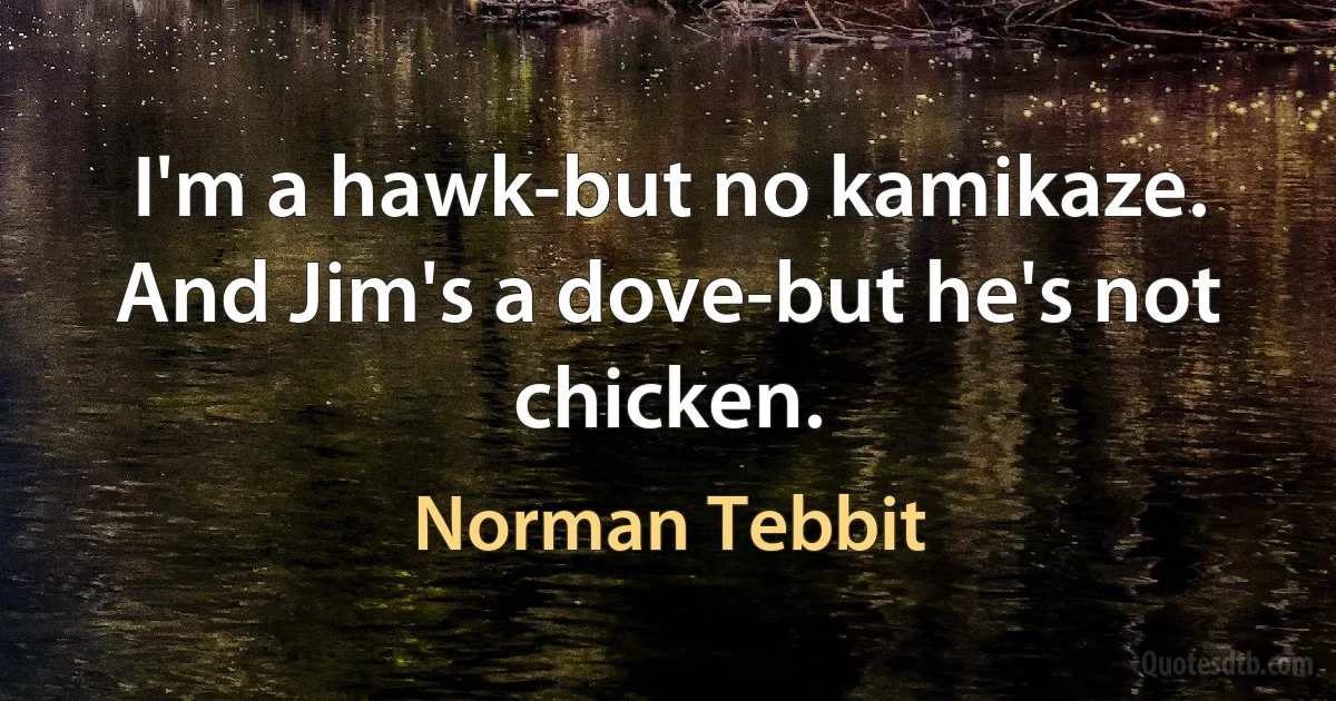 I'm a hawk-but no kamikaze. And Jim's a dove-but he's not chicken. (Norman Tebbit)