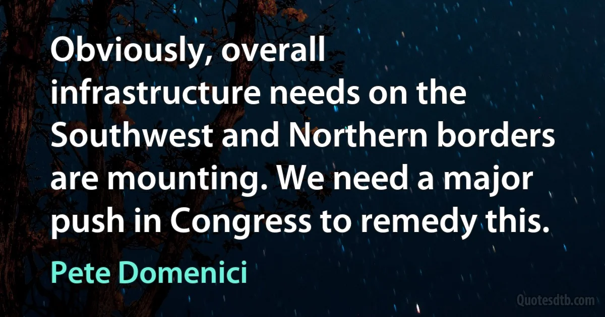 Obviously, overall infrastructure needs on the Southwest and Northern borders are mounting. We need a major push in Congress to remedy this. (Pete Domenici)