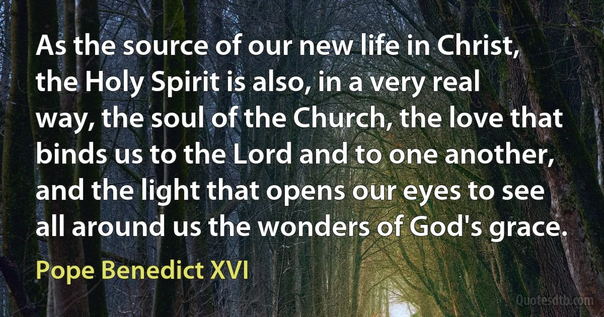 As the source of our new life in Christ, the Holy Spirit is also, in a very real way, the soul of the Church, the love that binds us to the Lord and to one another, and the light that opens our eyes to see all around us the wonders of God's grace. (Pope Benedict XVI)