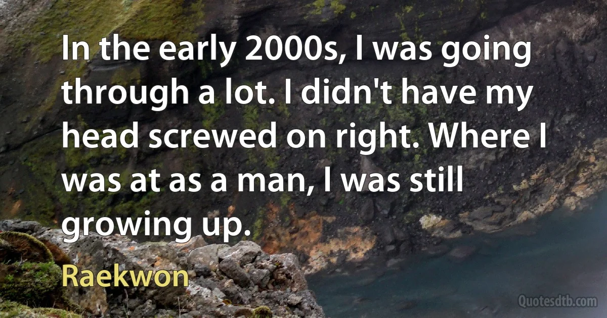 In the early 2000s, I was going through a lot. I didn't have my head screwed on right. Where I was at as a man, I was still growing up. (Raekwon)