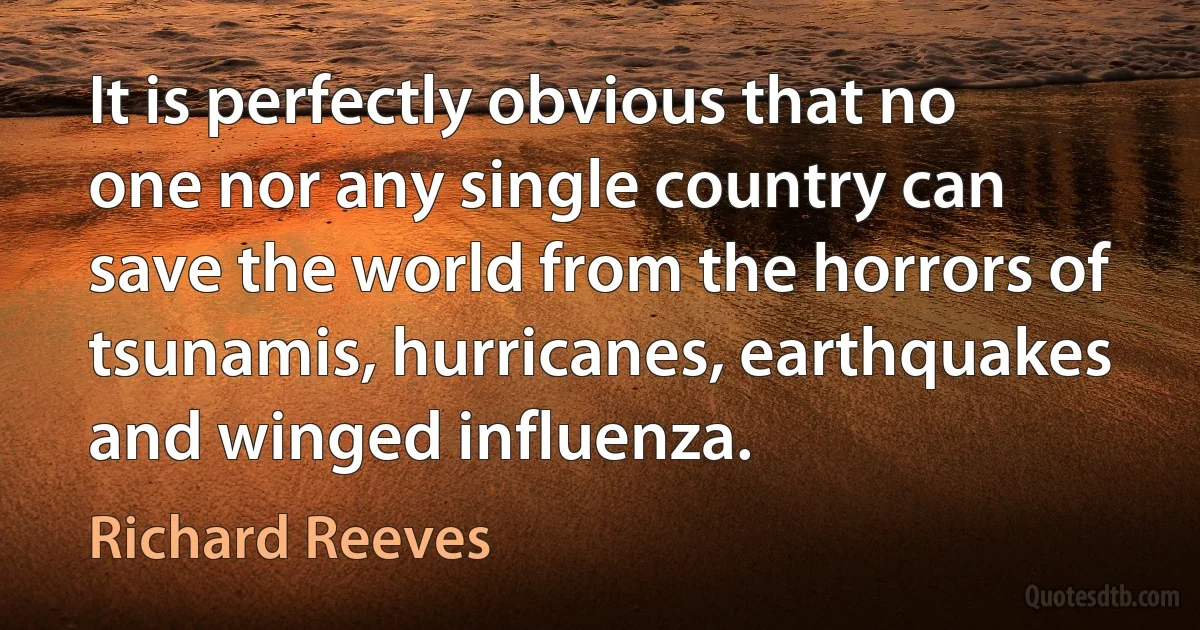 It is perfectly obvious that no one nor any single country can save the world from the horrors of tsunamis, hurricanes, earthquakes and winged influenza. (Richard Reeves)