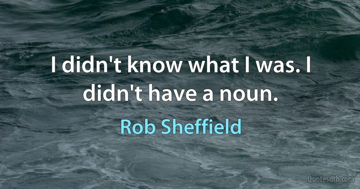 I didn't know what I was. I didn't have a noun. (Rob Sheffield)