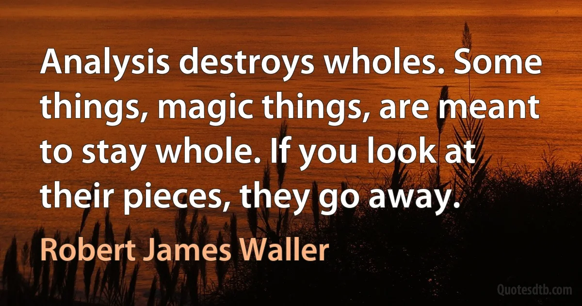 Analysis destroys wholes. Some things, magic things, are meant to stay whole. If you look at their pieces, they go away. (Robert James Waller)