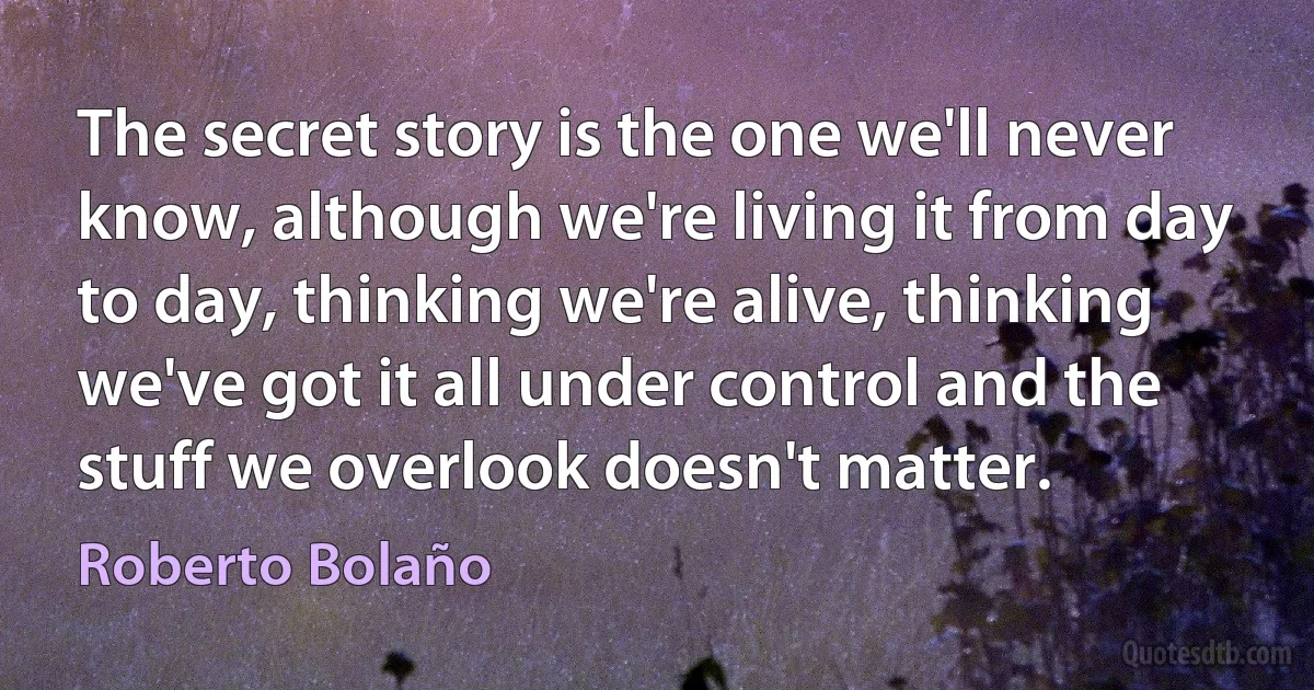 The secret story is the one we'll never know, although we're living it from day to day, thinking we're alive, thinking we've got it all under control and the stuff we overlook doesn't matter. (Roberto Bolaño)