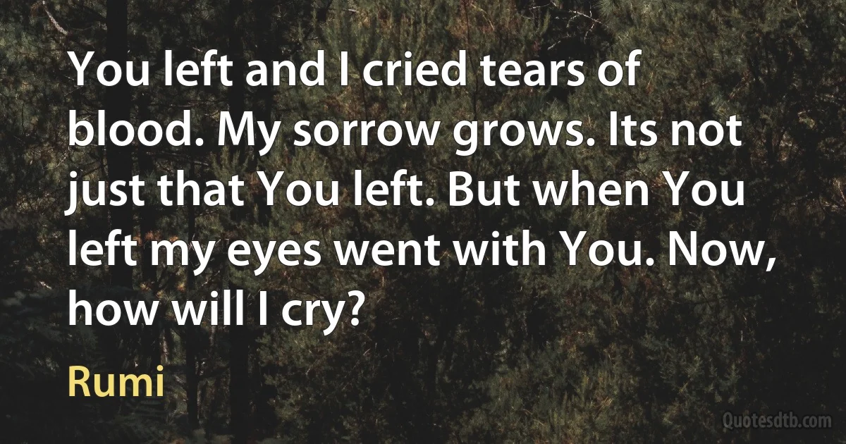 You left and I cried tears of blood. My sorrow grows. Its not just that You left. But when You left my eyes went with You. Now, how will I cry? (Rumi)