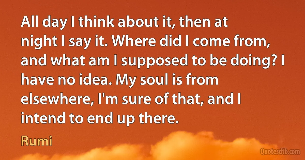 All day I think about it, then at night I say it. Where did I come from, and what am I supposed to be doing? I have no idea. My soul is from elsewhere, I'm sure of that, and I intend to end up there. (Rumi)