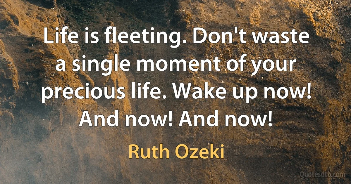 Life is fleeting. Don't waste a single moment of your precious life. Wake up now! And now! And now! (Ruth Ozeki)