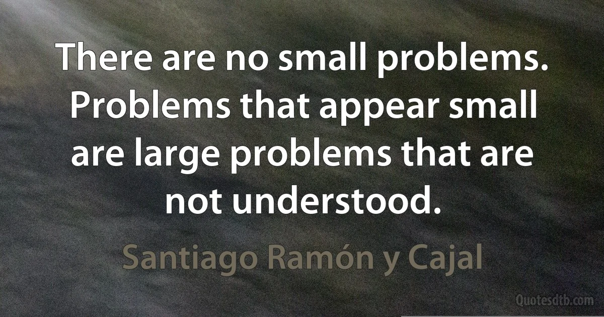 There are no small problems. Problems that appear small are large problems that are not understood. (Santiago Ramón y Cajal)