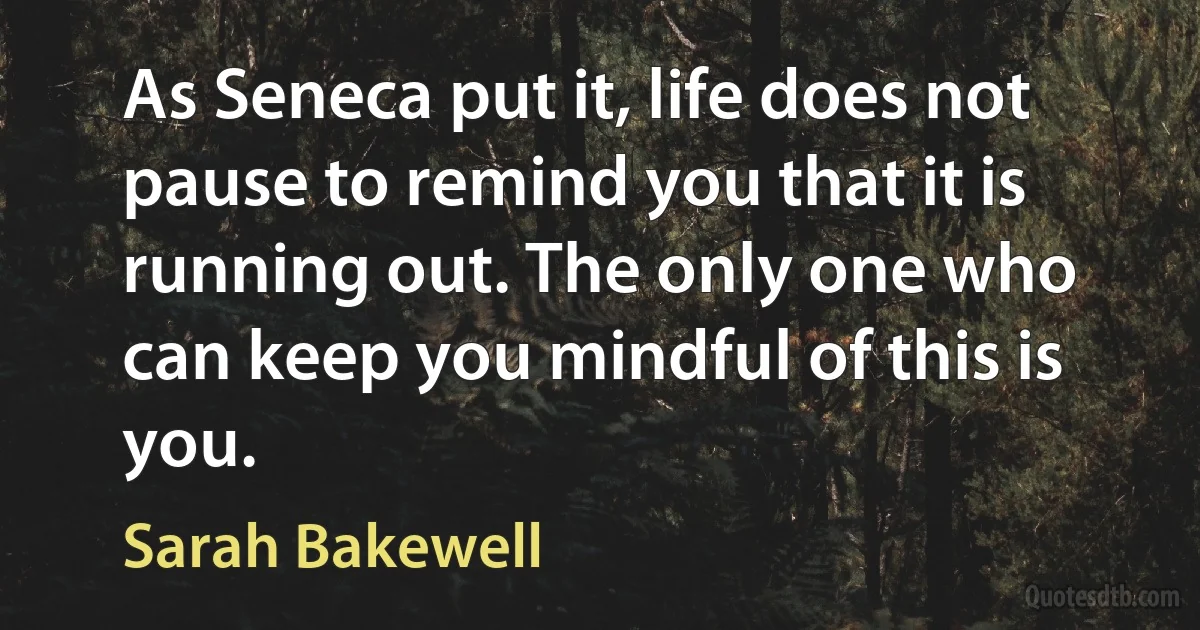 As Seneca put it, life does not pause to remind you that it is running out. The only one who can keep you mindful of this is you. (Sarah Bakewell)