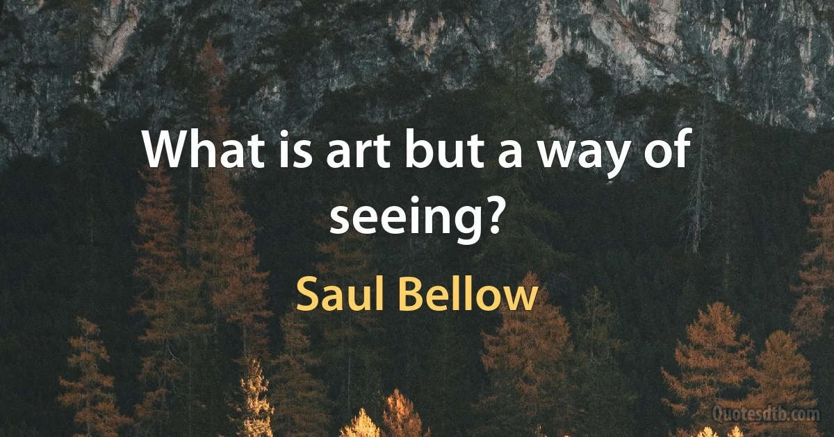 What is art but a way of seeing? (Saul Bellow)