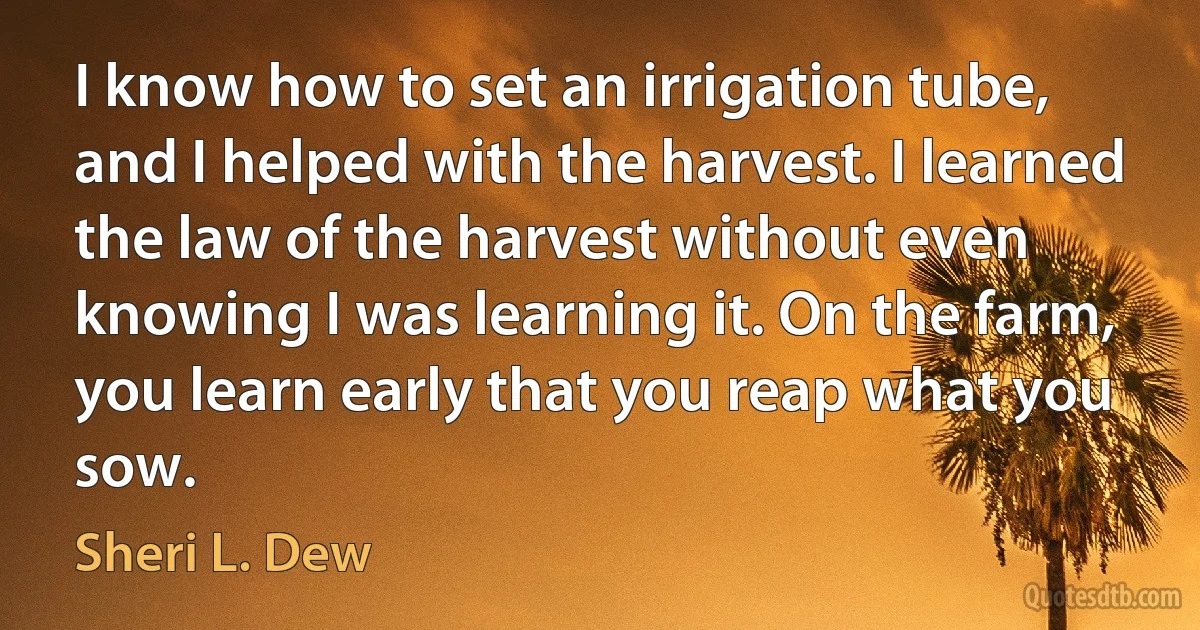 I know how to set an irrigation tube, and I helped with the harvest. I learned the law of the harvest without even knowing I was learning it. On the farm, you learn early that you reap what you sow. (Sheri L. Dew)