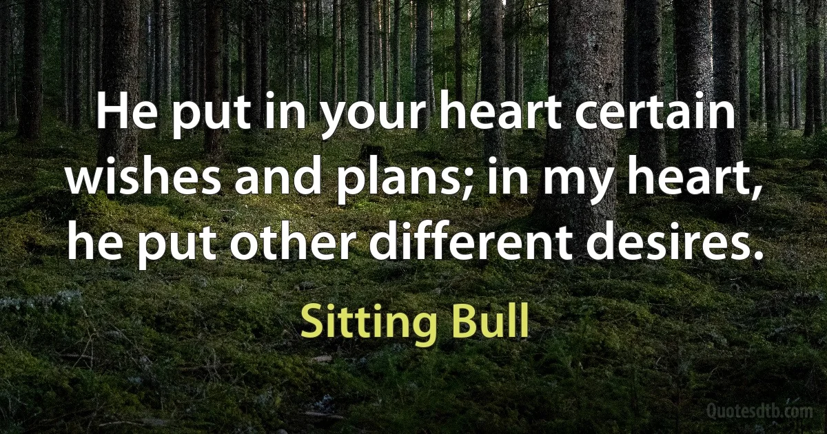 He put in your heart certain wishes and plans; in my heart, he put other different desires. (Sitting Bull)