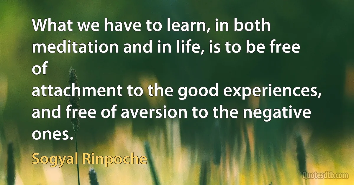 What we have to learn, in both meditation and in life, is to be free of
attachment to the good experiences, and free of aversion to the negative ones. (Sogyal Rinpoche)