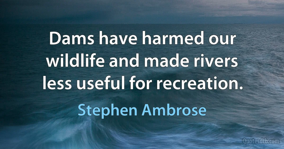 Dams have harmed our wildlife and made rivers less useful for recreation. (Stephen Ambrose)