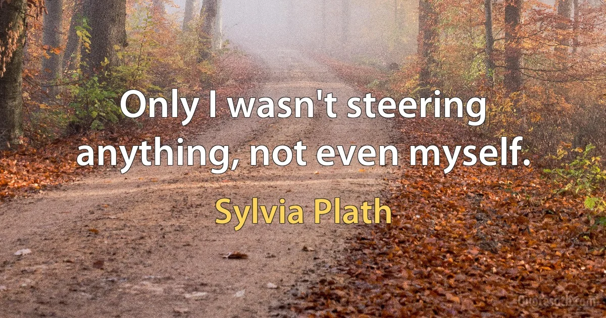 Only I wasn't steering anything, not even myself. (Sylvia Plath)