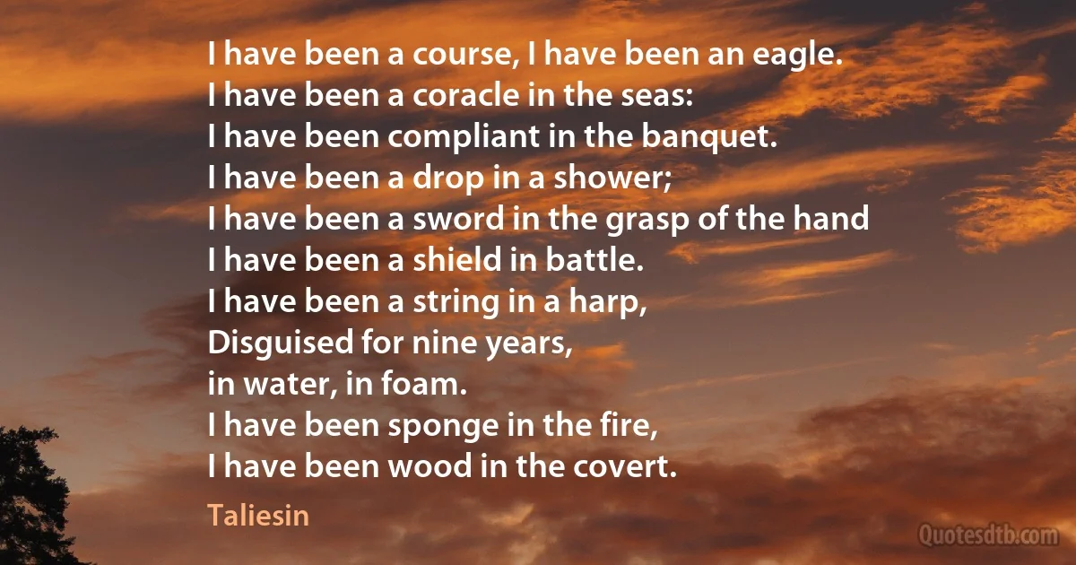 I have been a course, I have been an eagle.
I have been a coracle in the seas:
I have been compliant in the banquet.
I have been a drop in a shower;
I have been a sword in the grasp of the hand
I have been a shield in battle.
I have been a string in a harp,
Disguised for nine years,
in water, in foam.
I have been sponge in the fire,
I have been wood in the covert. (Taliesin)